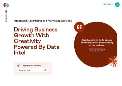 Homepage of Brandience