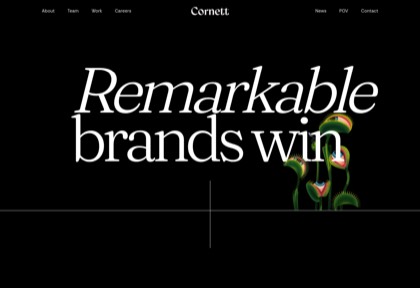 Homepage of Cornett