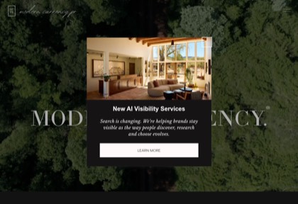 Homepage of Modern Currency PR