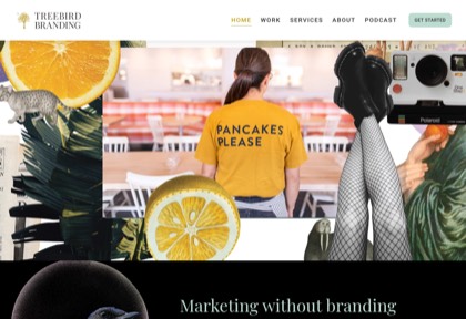 Homepage of Treebird Branding