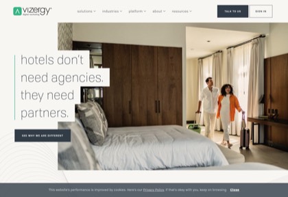 Homepage of Vizergy